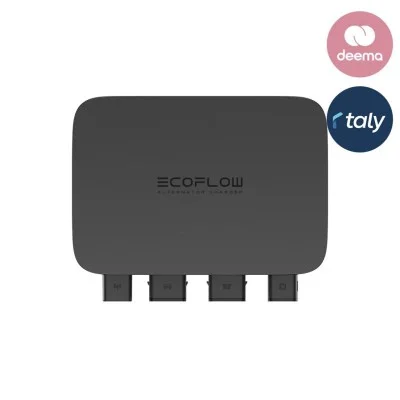 EcoFlow 800W Alternator Charger - Black